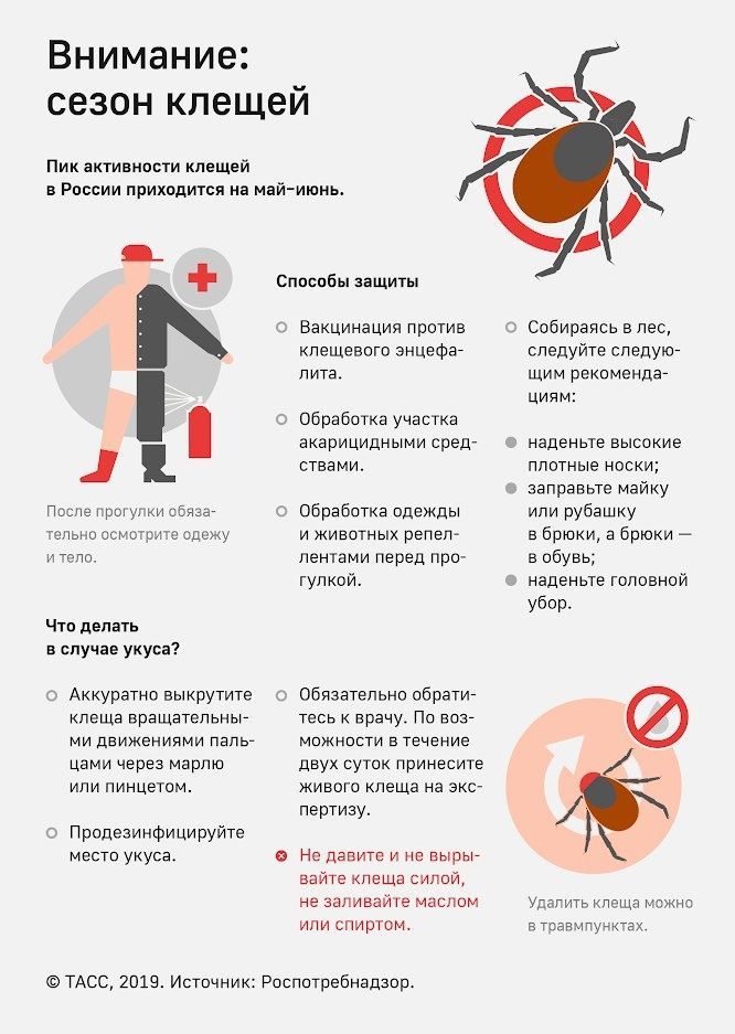 Осторожно, клещи!